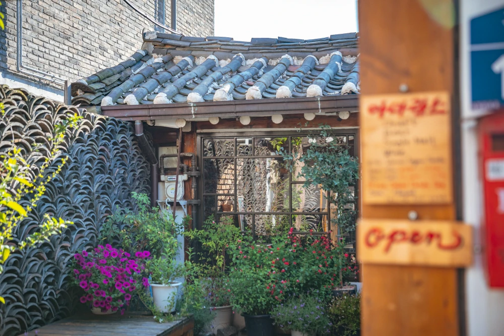 Quiet Seochon lane beside a tiled hanok roof, flowers and a tall shade tree