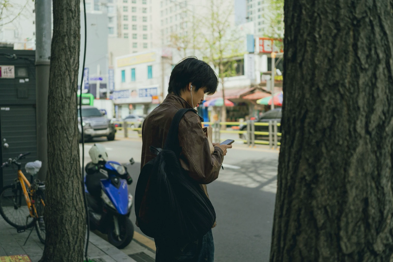 Traveler checking a smartphone on a tree-lined street in Seoul