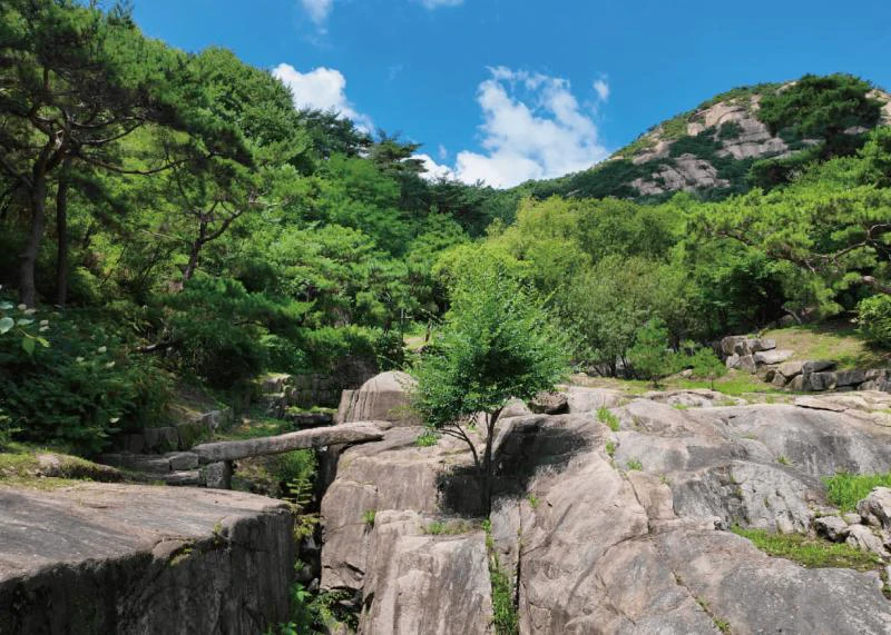 Rocks, pine trees, and the slopes of Inwangsan at Suseong-dong Valley