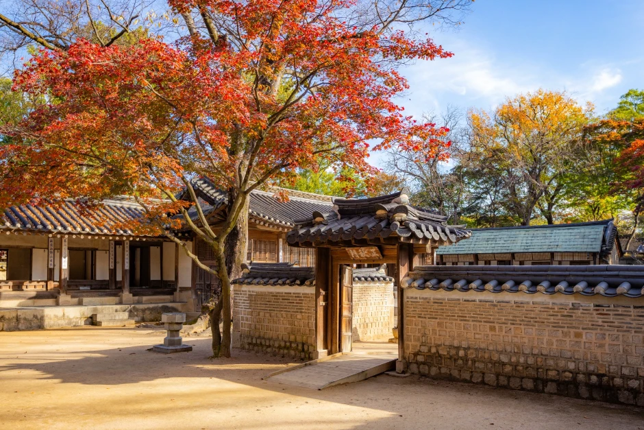 Traditional palace courtyard framed by autumn maples at Changdeokgung