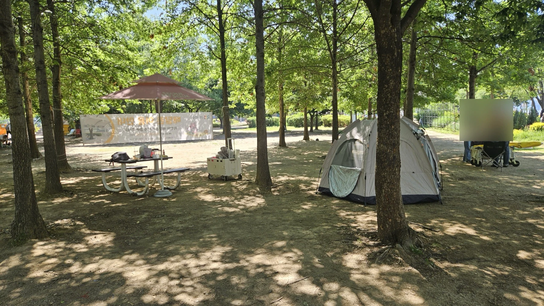 Shaded lawn and picnic path at Mangwon Hangang Park in Seoul