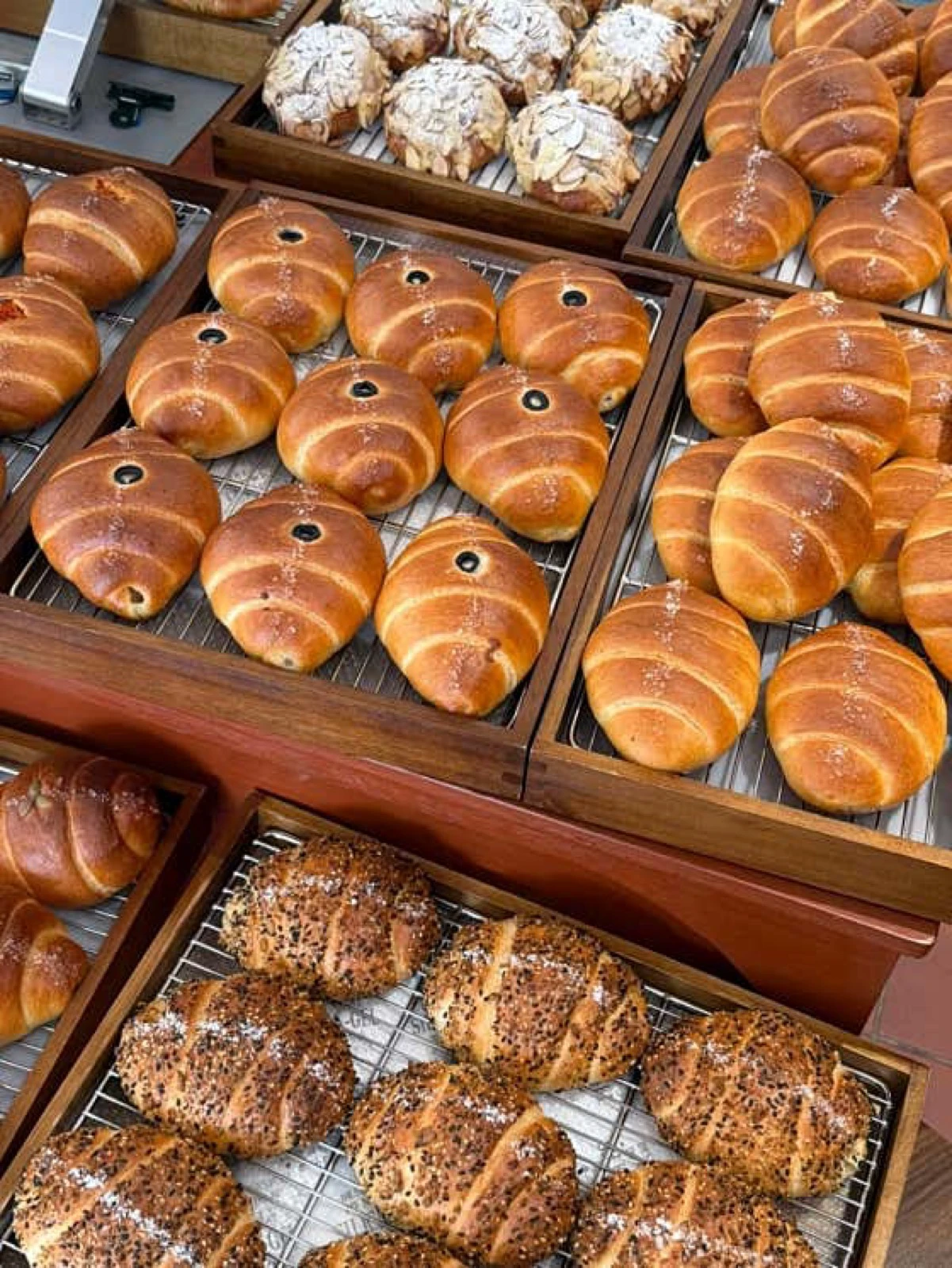 Trays of glossy golden plain and seeded salt bread in a Korean bakery