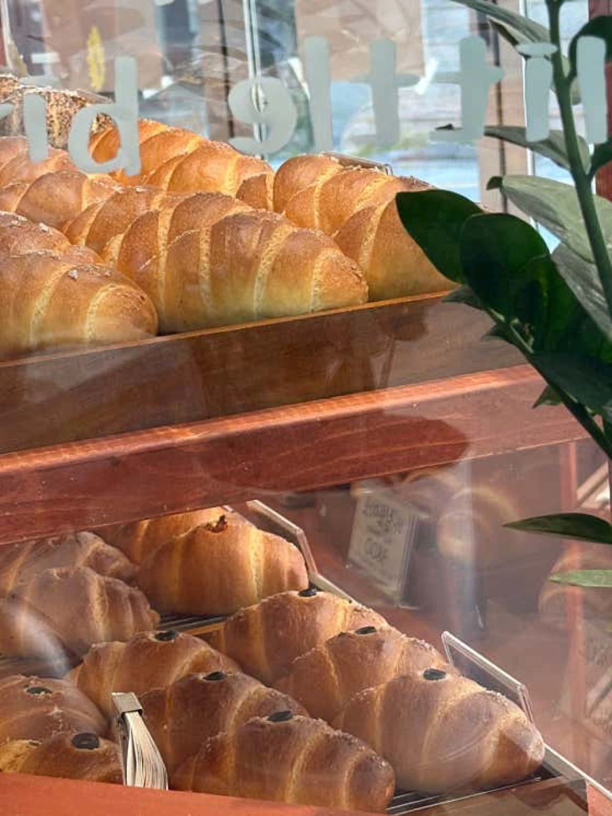 Fresh salt bread arranged behind the glass of a Korean bakery display