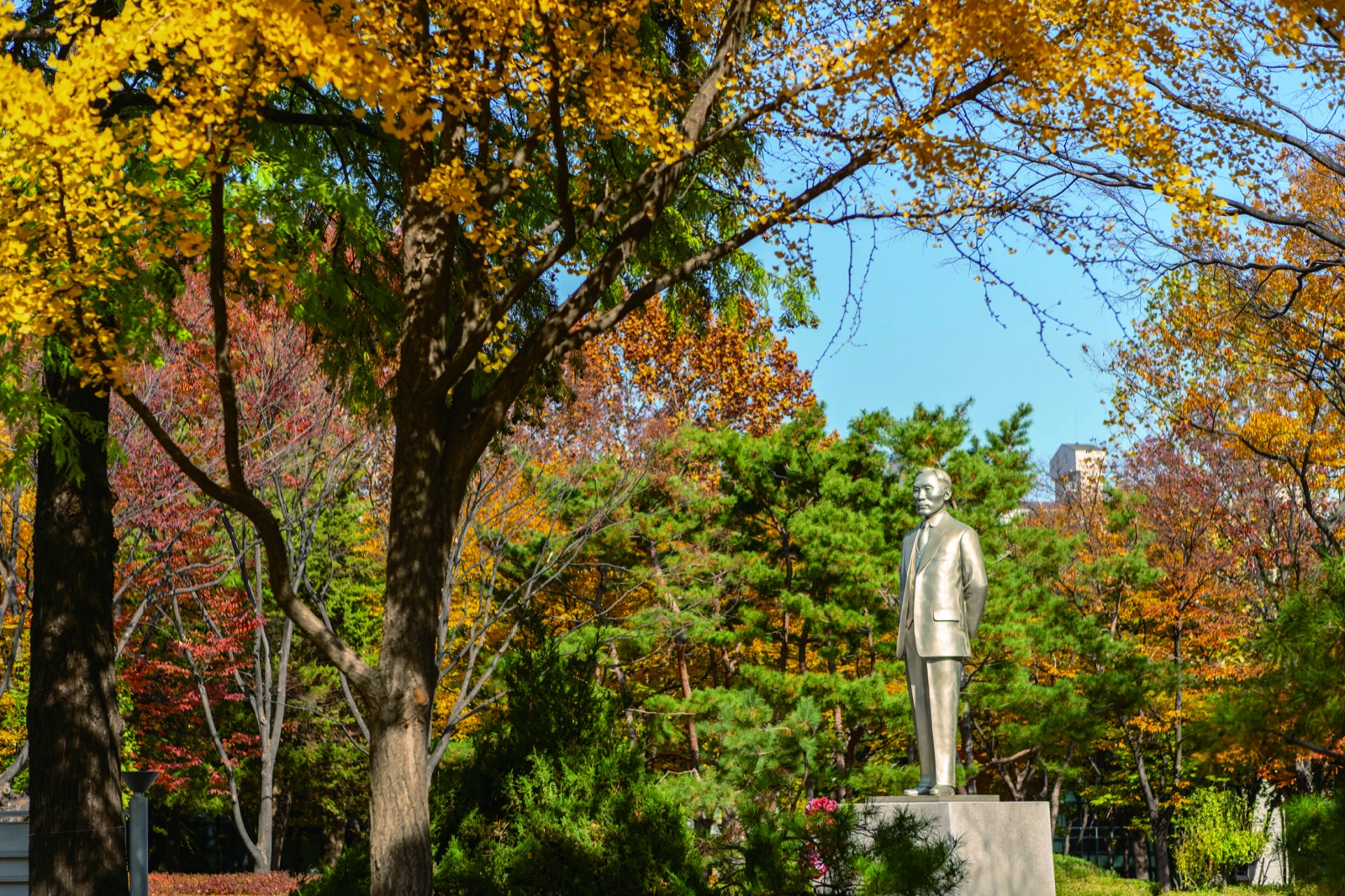 Ahn Chang-ho statue among autumn trees in Dosan Park