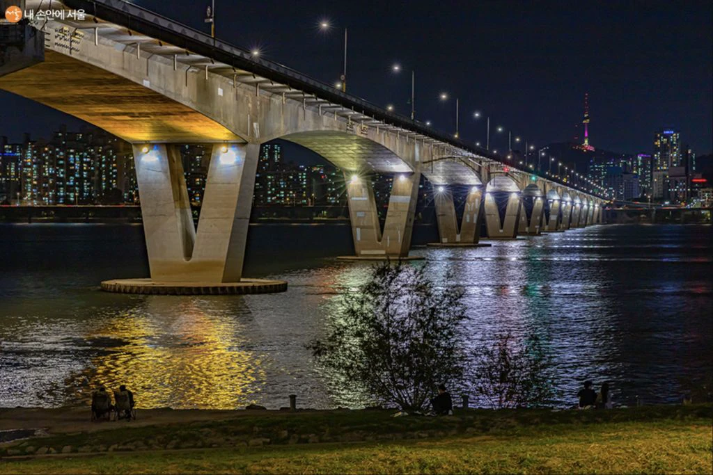 Wonhyo Bridge lit above a riverside lawn at night