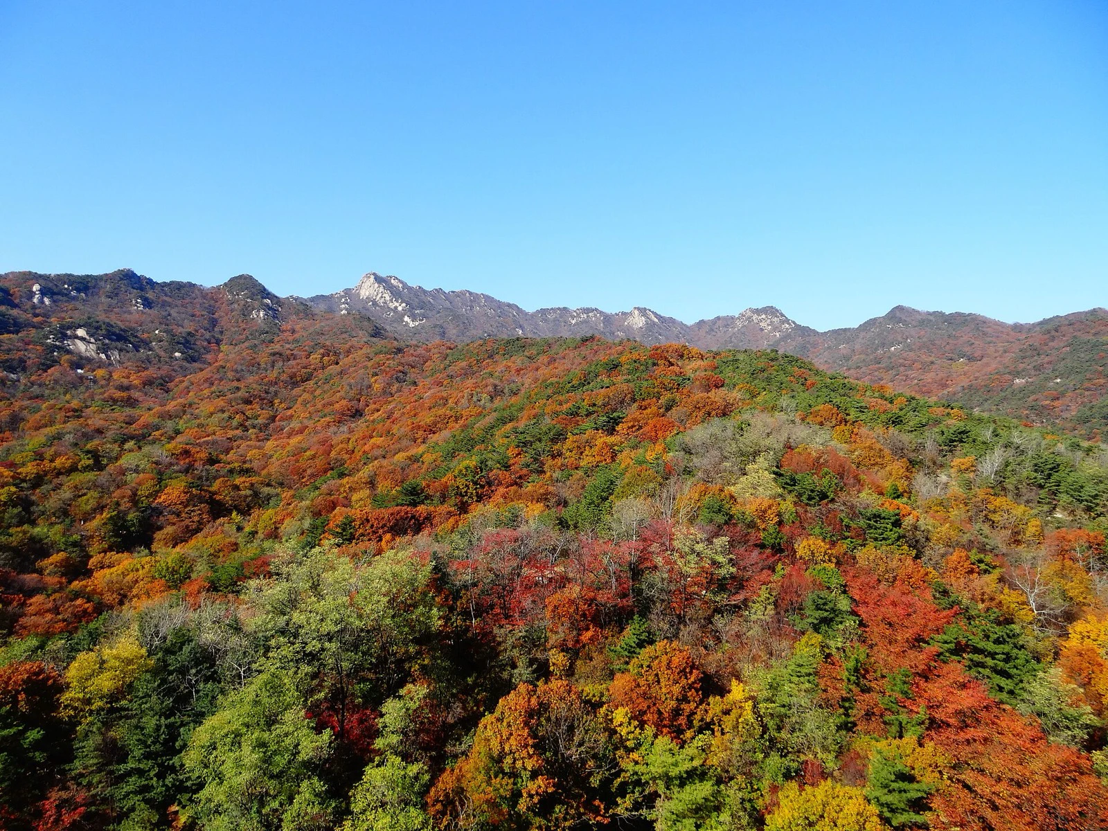 Bukhansan ridges covered in red, orange, yellow and green autumn foliage under a clear blue sky