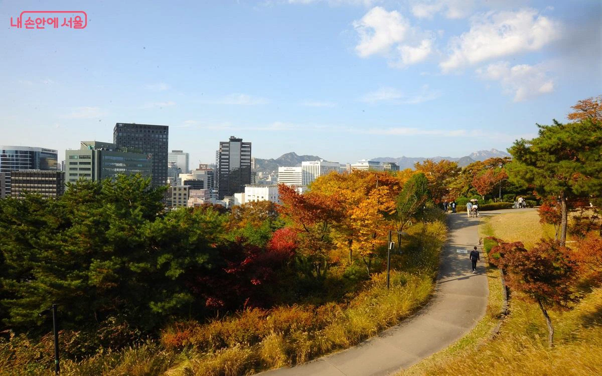 Hàng cây cam đỏ quanh lối Namsan nhìn xuống trung tâm Seoul