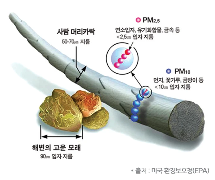Korean AirKorea graphic comparing PM2.5 and PM10 particles with a human hair and beach sand