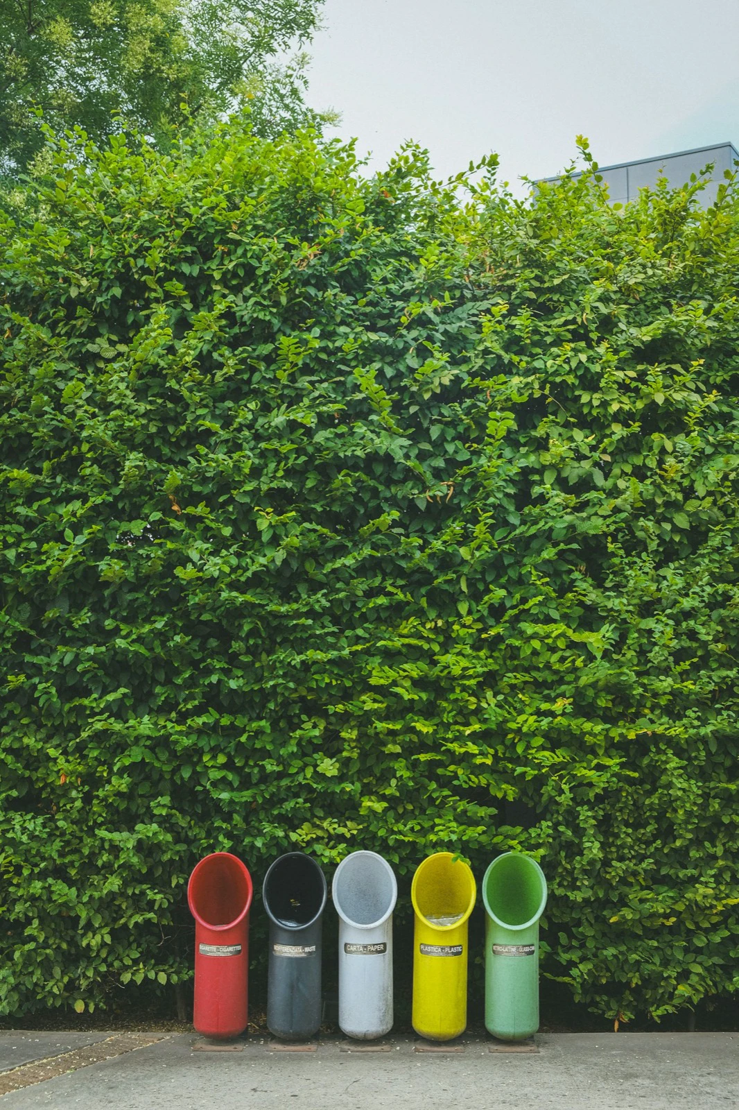Row of color-coded recycling bins in front of a green hedge