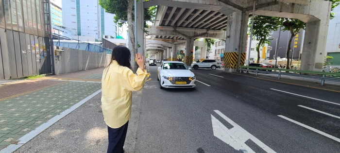 Passenger hailing a taxi from the curb in Seoul